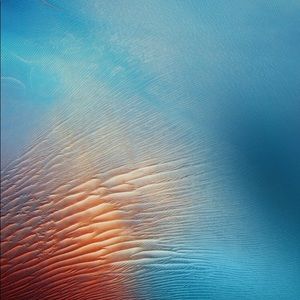 Meet your Posher, Ebony